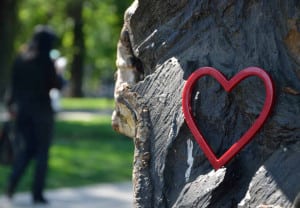 Red heart figure on tree trunk in park with person in background