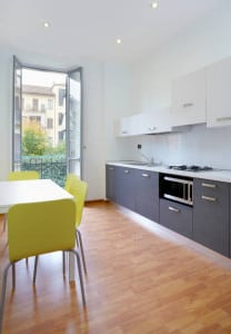 Modern kitchen in small new apartment