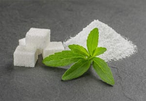 Stevia leaves with stevia powder and sugar cubes on a slate plate