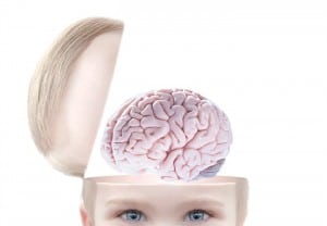 como funciona el cerebro de mi bebe