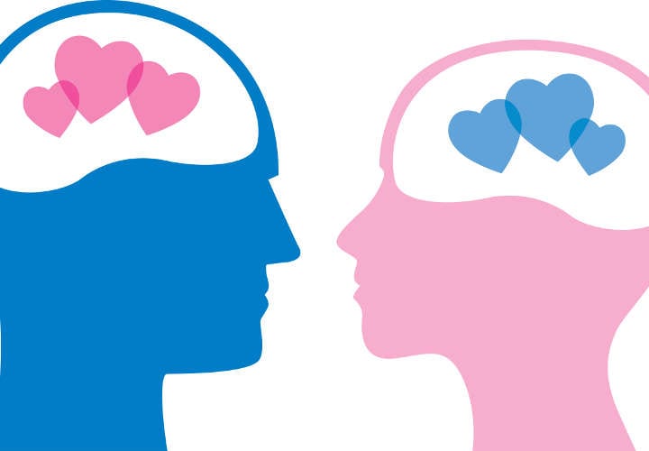 el cerebro del hombre