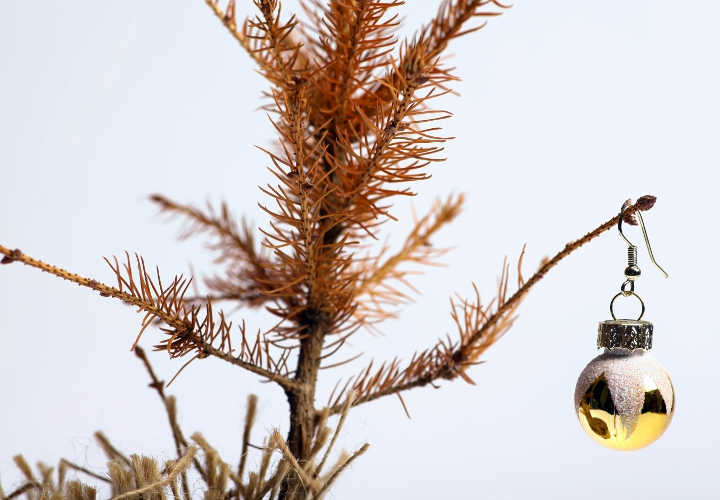 ¿Qué diablos hacer con el árbol?