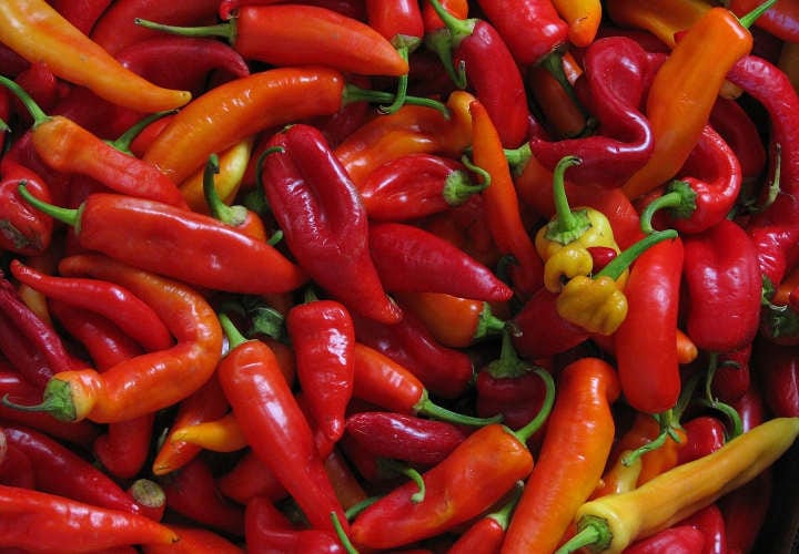 pimientos