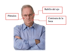 que dicen tus facciones