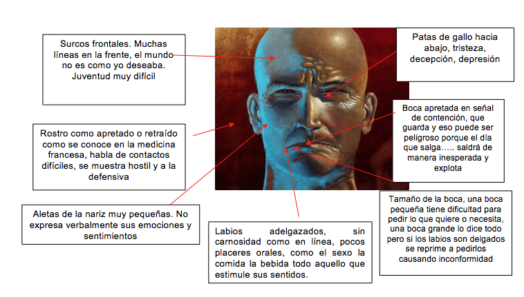 que dicen tus facciones