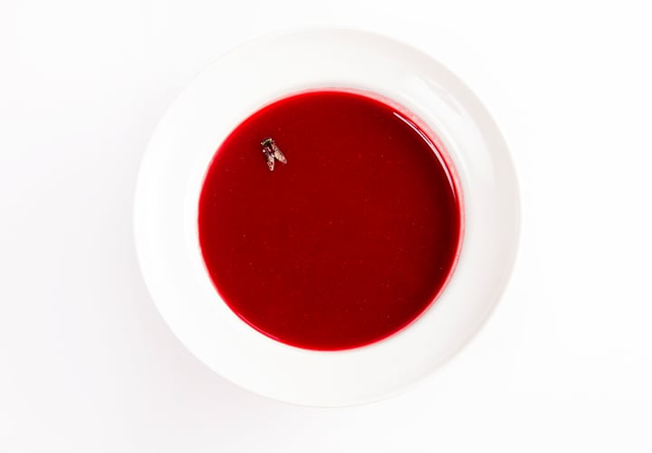 mosca-en-el-plato