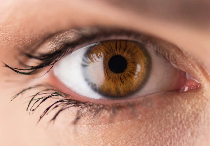 Ojo con la retina: ¿De qué se enferma?