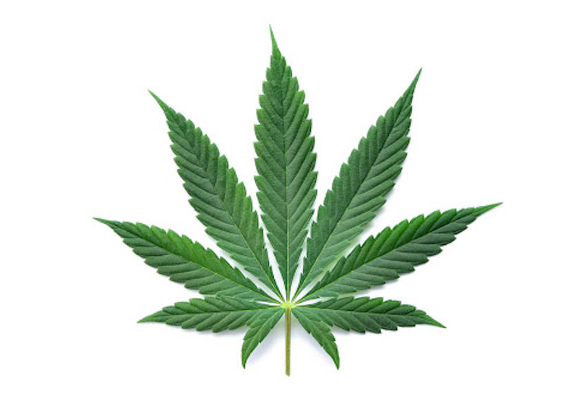 cuerpo cuando consumes marihuana