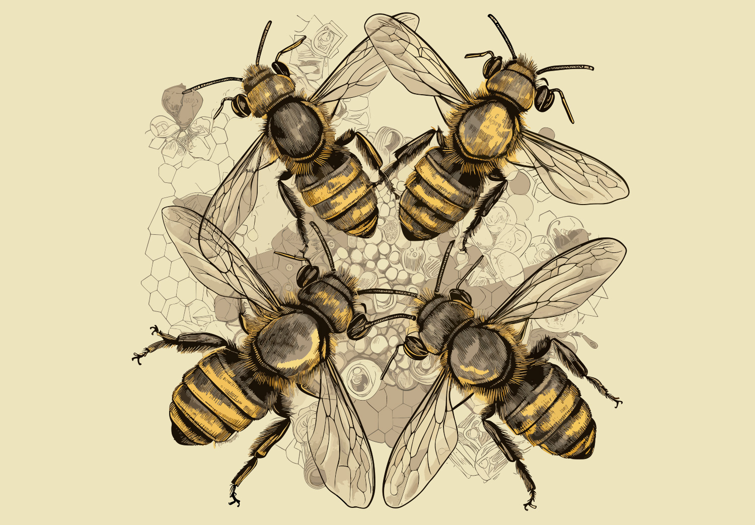 cómo-cuidar-a-las-abejas