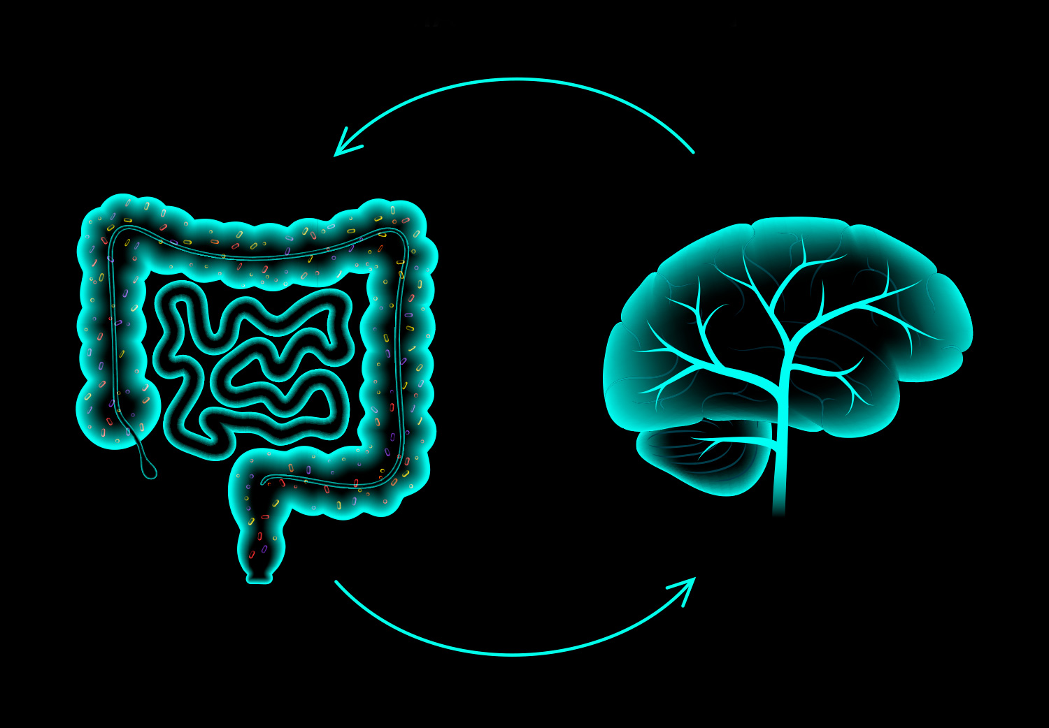 microbiota Los microbios intestinales y cómo afectan la salud menta