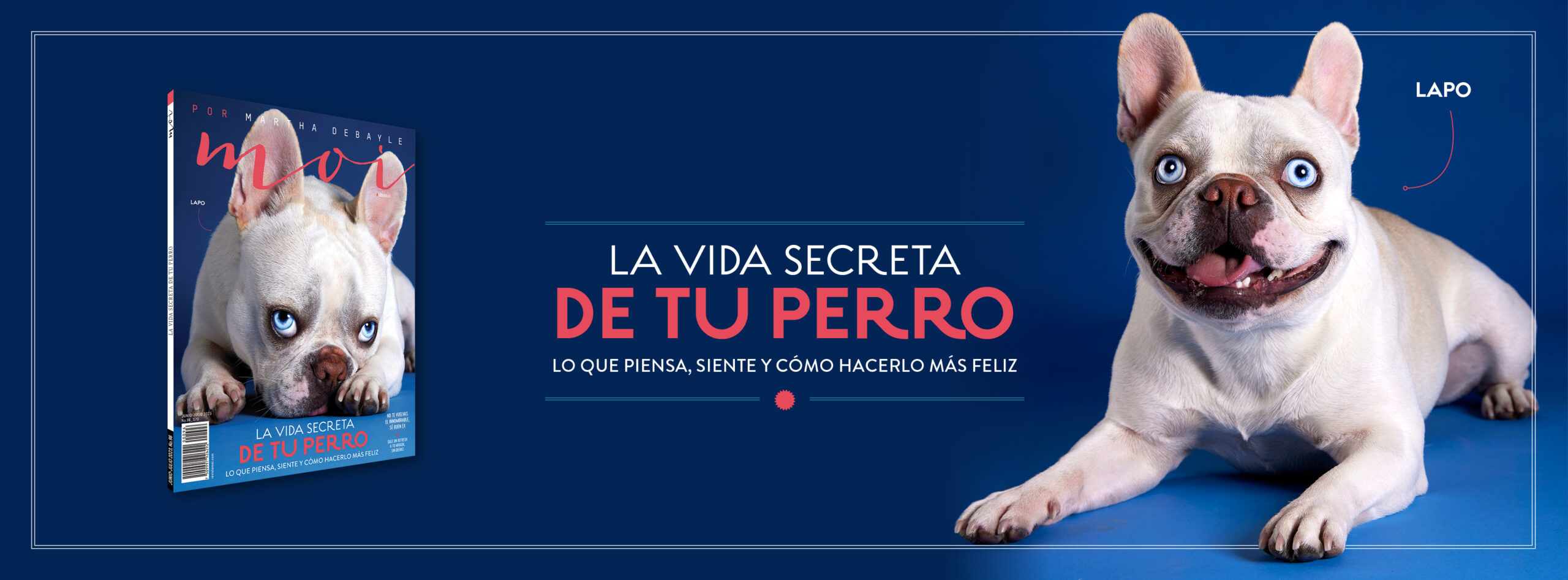 revista
