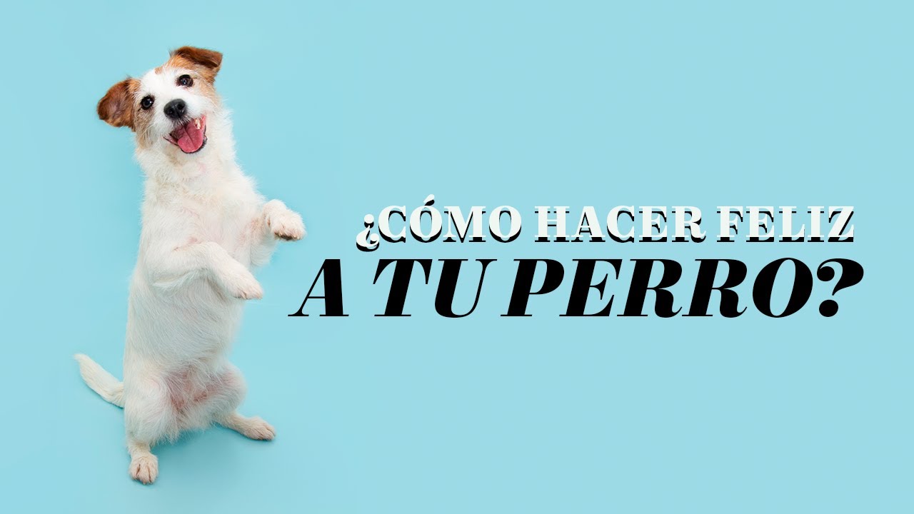 Cosas que hacen feliz Cosas que hacen feliz