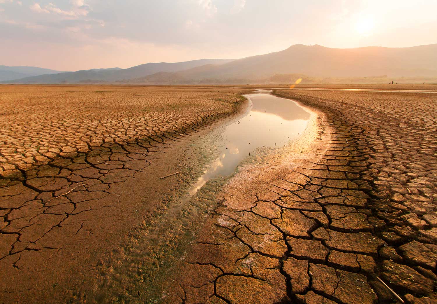 sequía-mundial-cuando-nos-quedaremos-sin-agua-martha-debayle