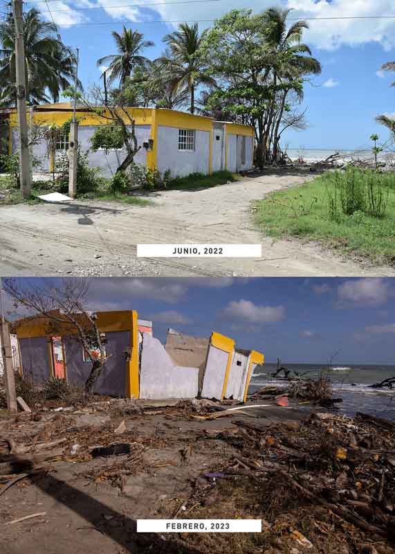 el-bosque-pueblo-cambio-climatico