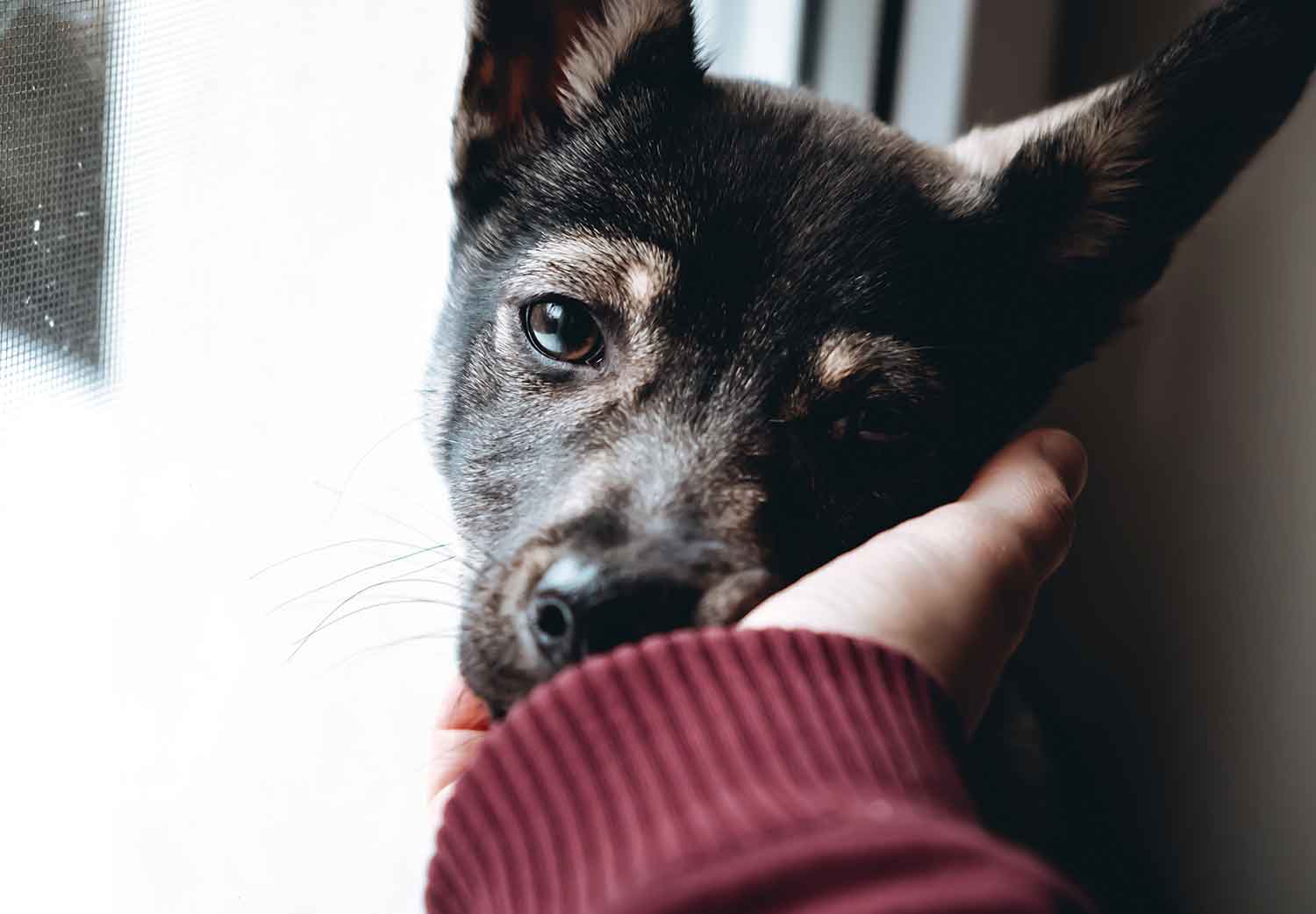 duelos-de-los-que-no-hablamos