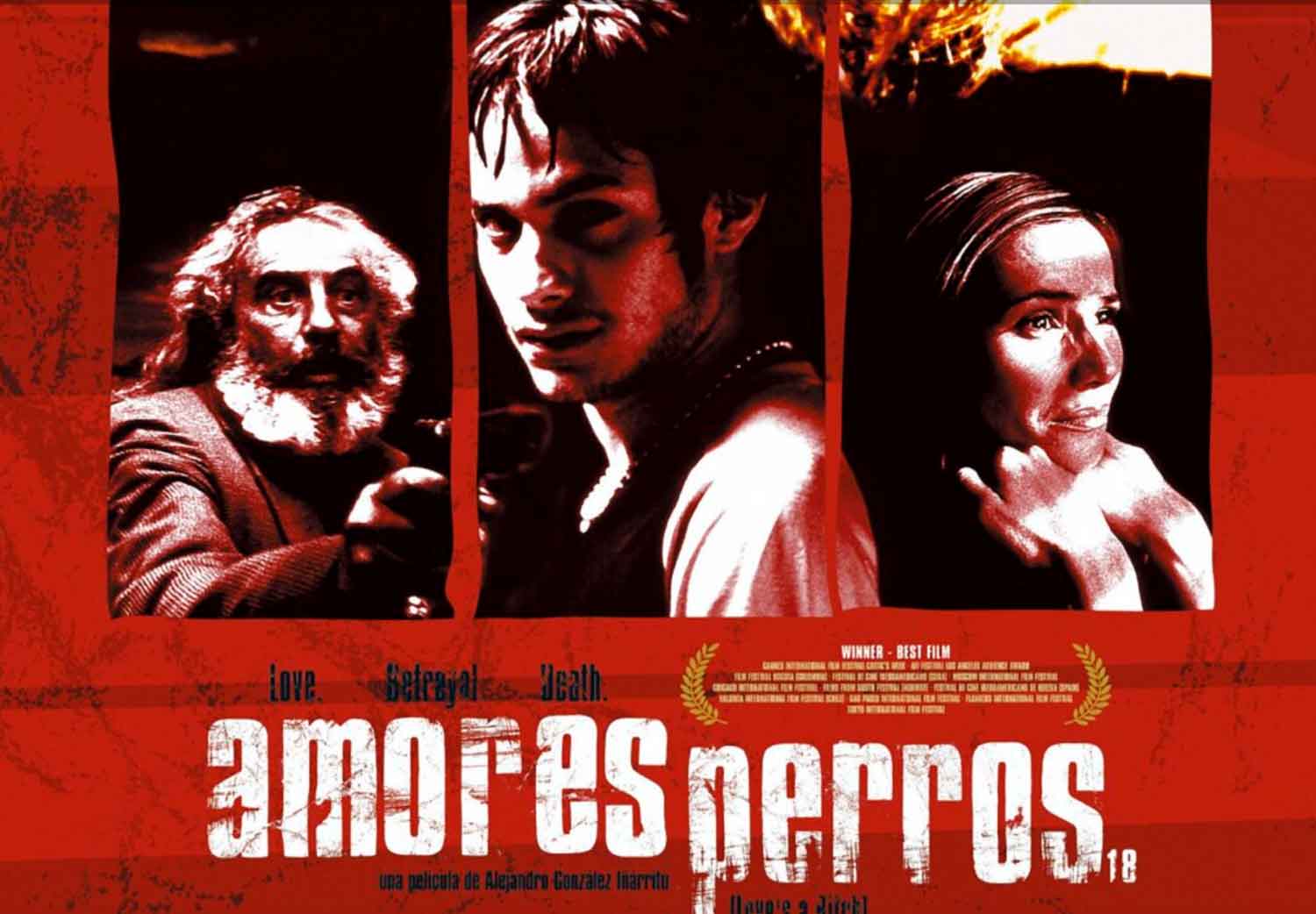 amores-perros-alejandro-gonzalez-iñarritu