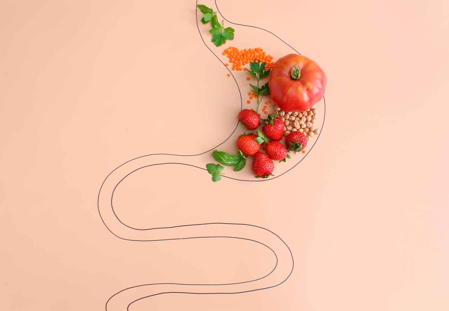 cuanto-tarda-en-digerir-la-comida