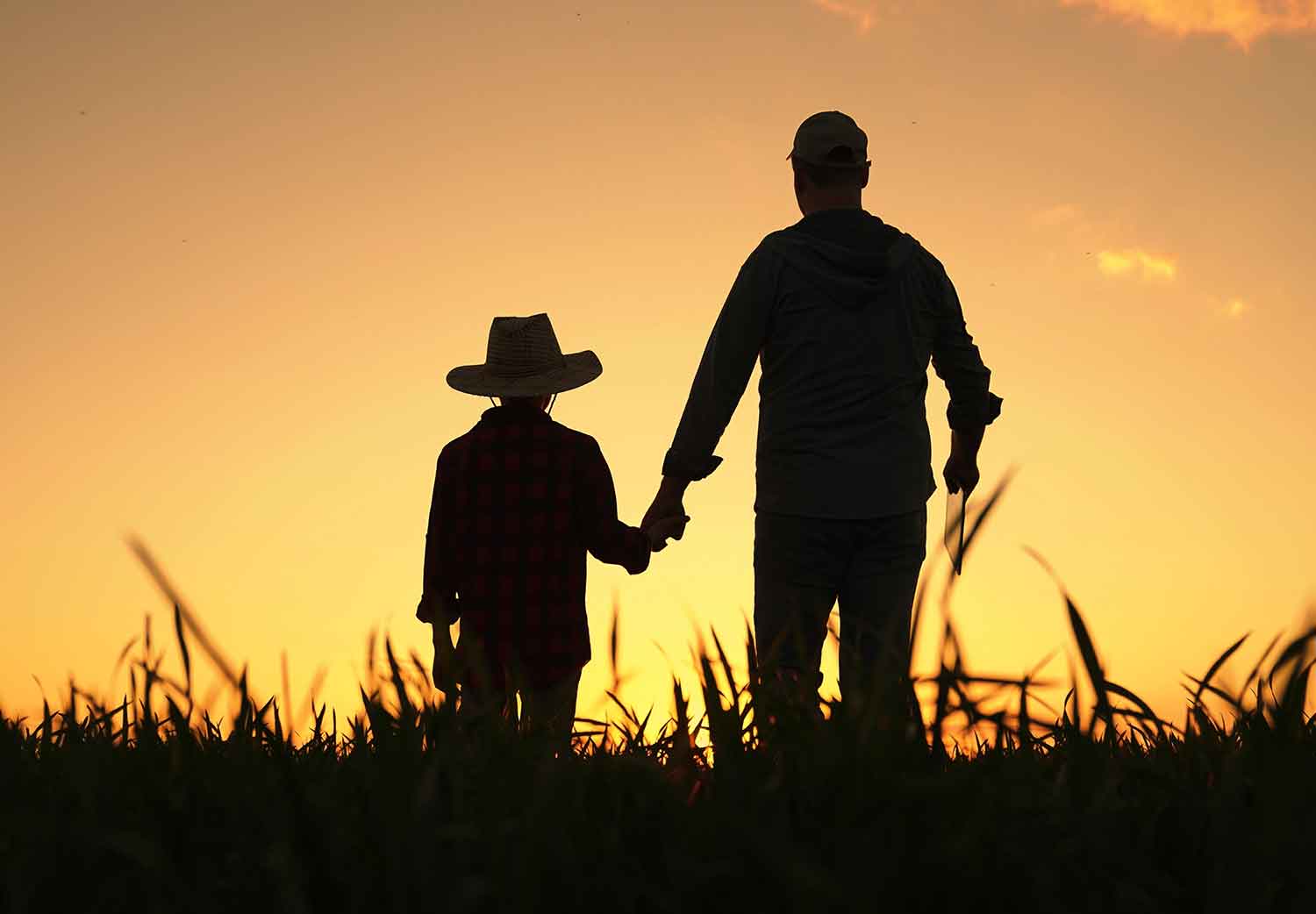 sanar-la-relacion-con-los-padres