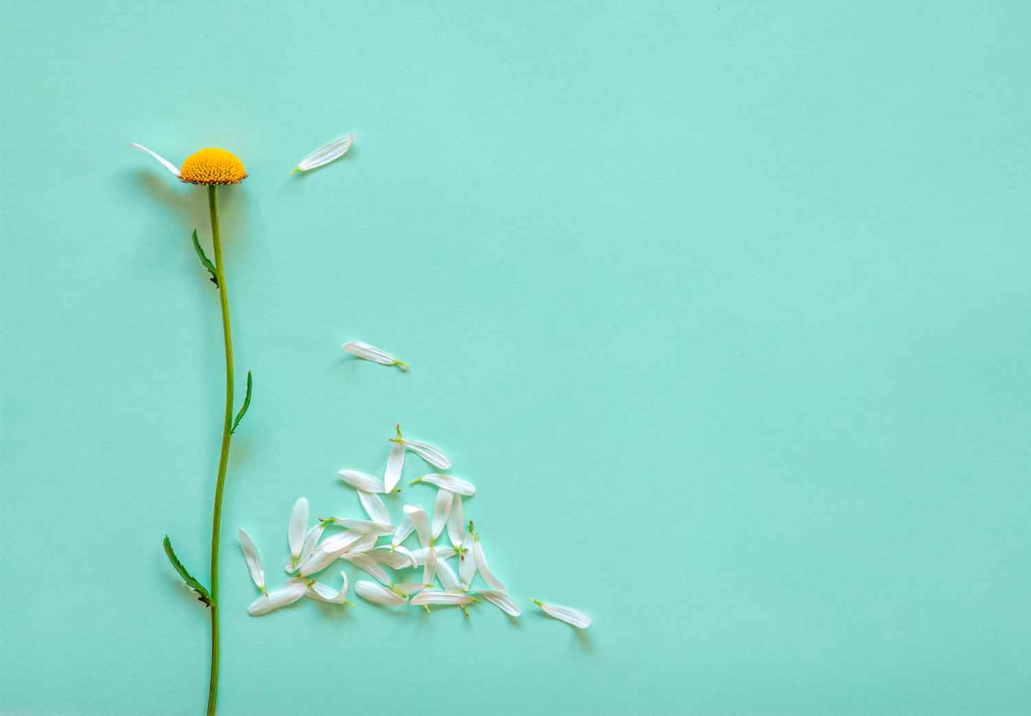 amor-no-correspondido