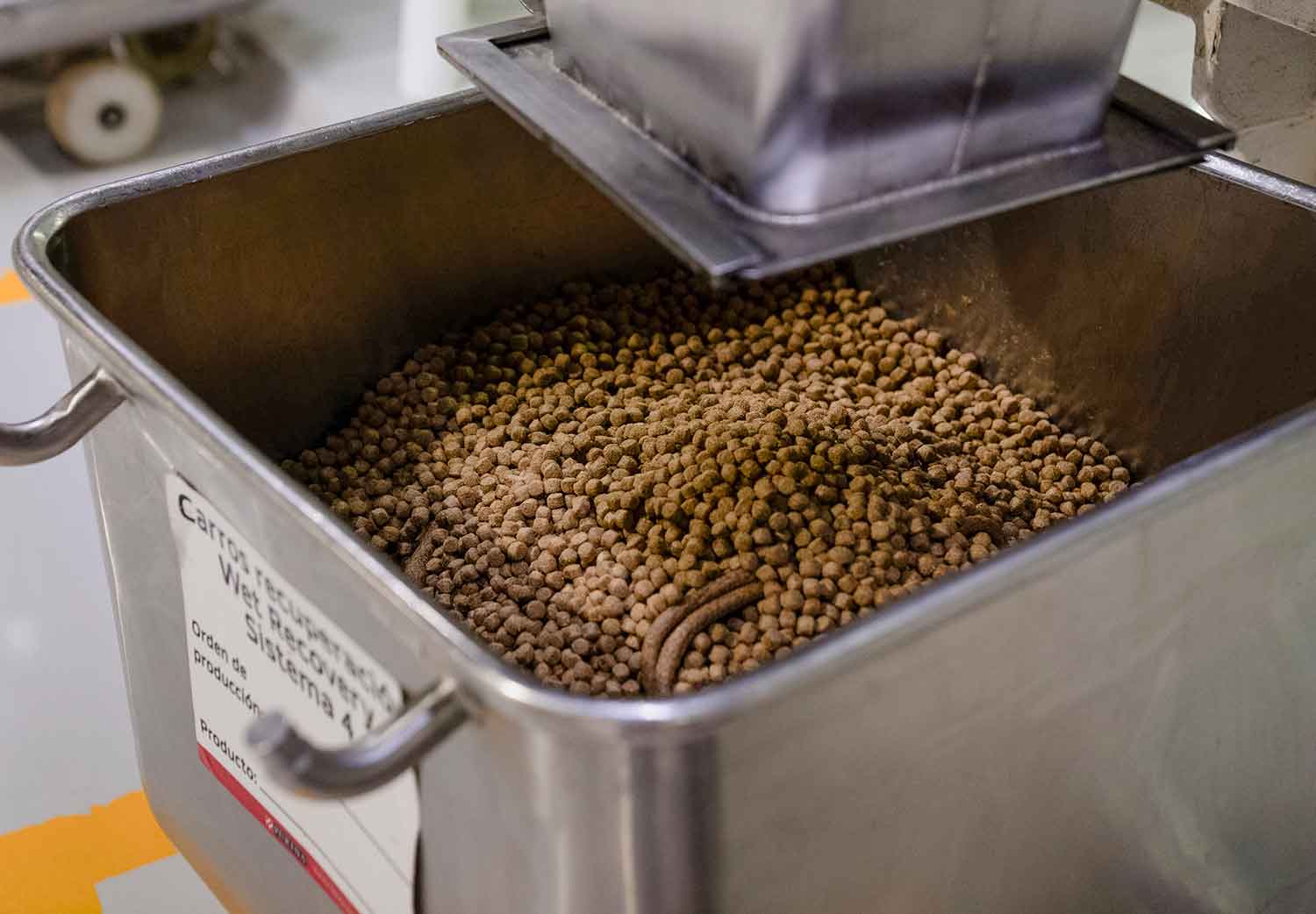 croquetas-de-perro-con-carne-purina