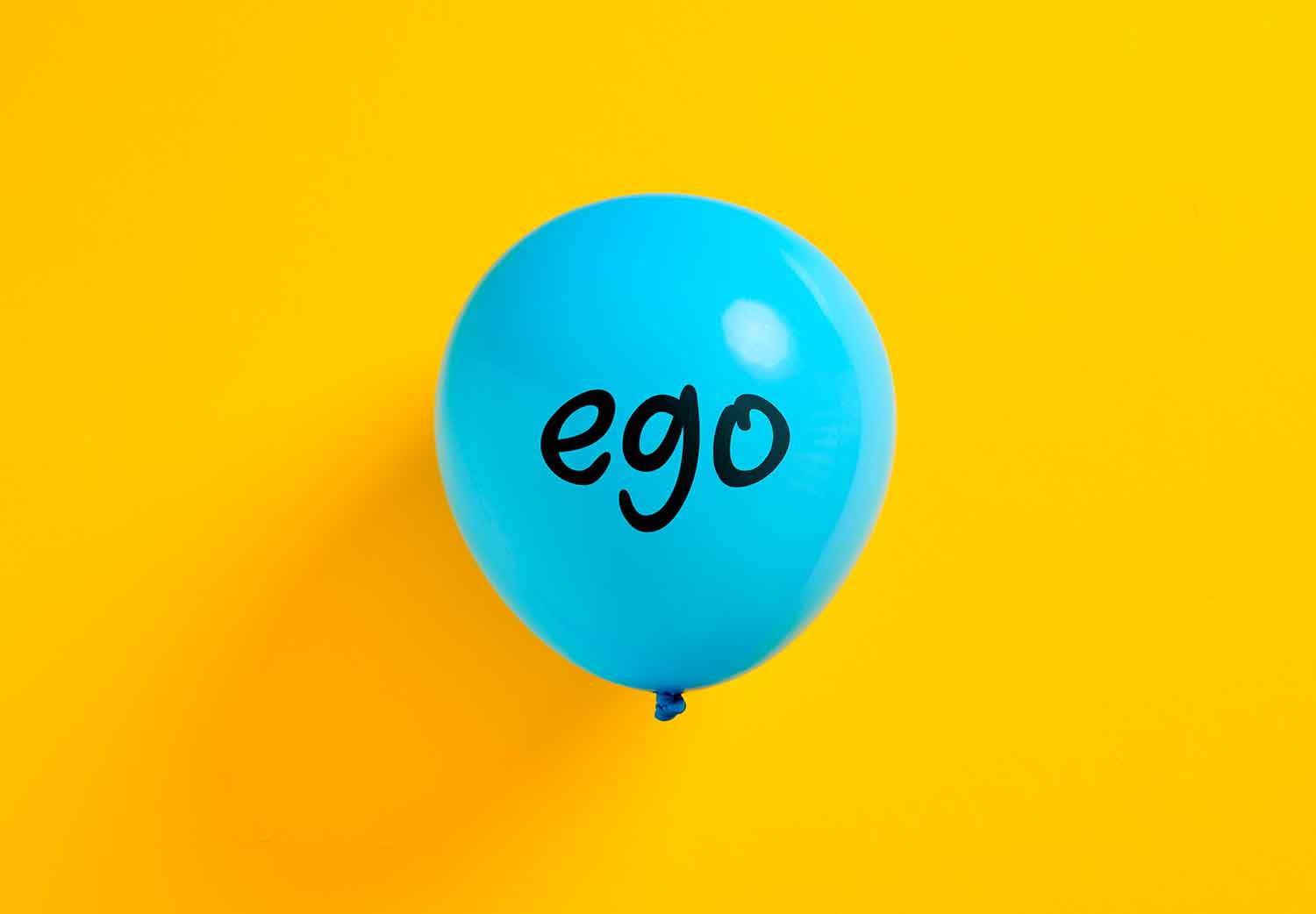 anatomia-del-ego-que-es-el-ego