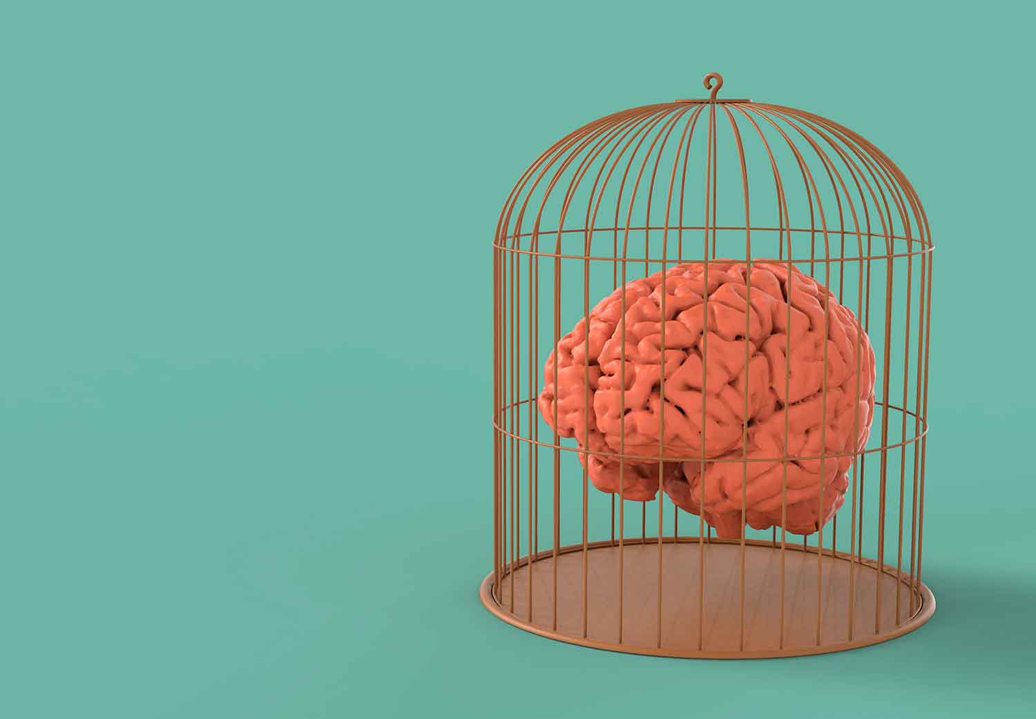 indefension-aprendida