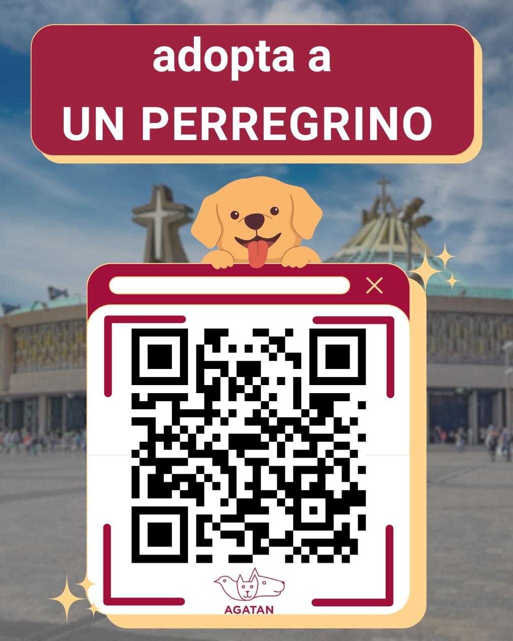 perritos peregrinos como adoptar