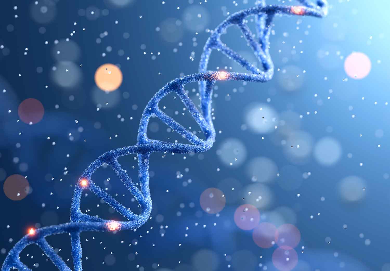 preguntas-sobre-genetica