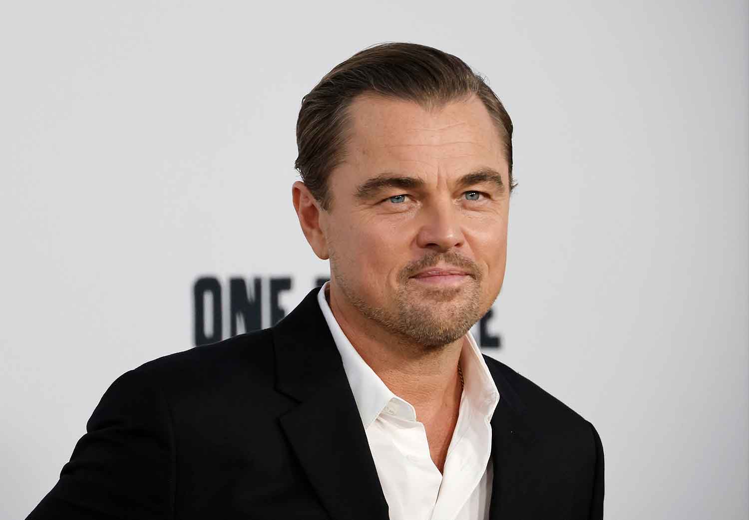 signo-de-frank-leonardo-dicaprio