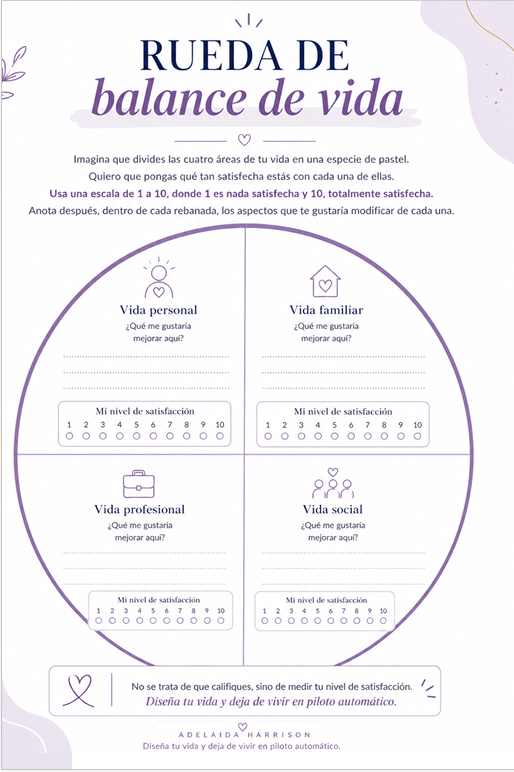Rueda balance de vida