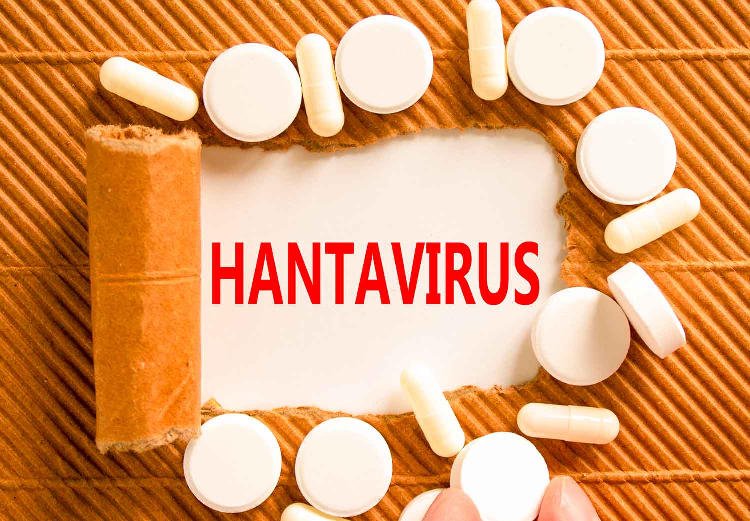 que-es-exactamente-el-Hantavirus
